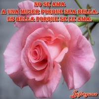 /album/fotogaleria/no-se-ama1-jpg/